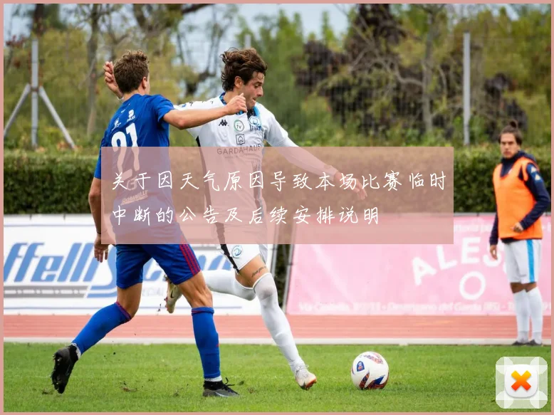 关于因天气原因导致本场比赛临时中断的公告及后续安排说明