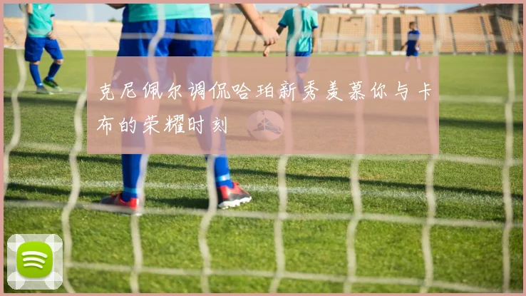 克尼佩尔调侃哈珀新秀羡慕你与卡布的荣耀时刻